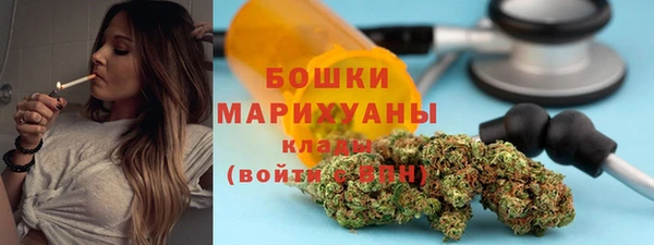 трава Белокуриха