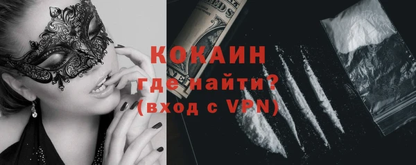 трава Белокуриха