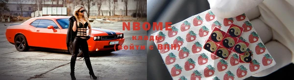 амф Беломорск