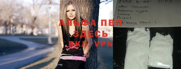 амф Беломорск