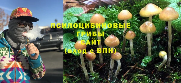 бошки Белоозёрский