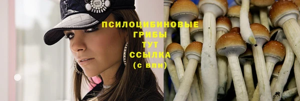 бошки Белоозёрский