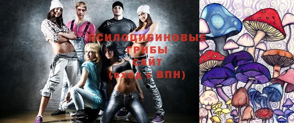 трава Белокуриха
