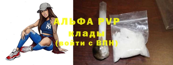 трава Белокуриха