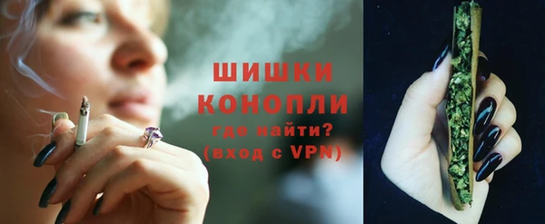 трава Белокуриха
