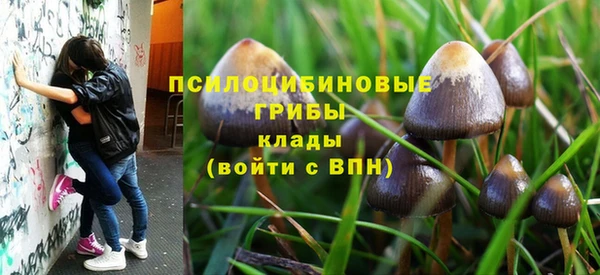 трава Белокуриха