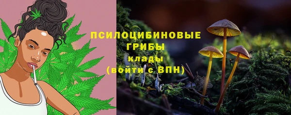 бошки Белоозёрский