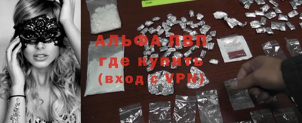 трава Белокуриха
